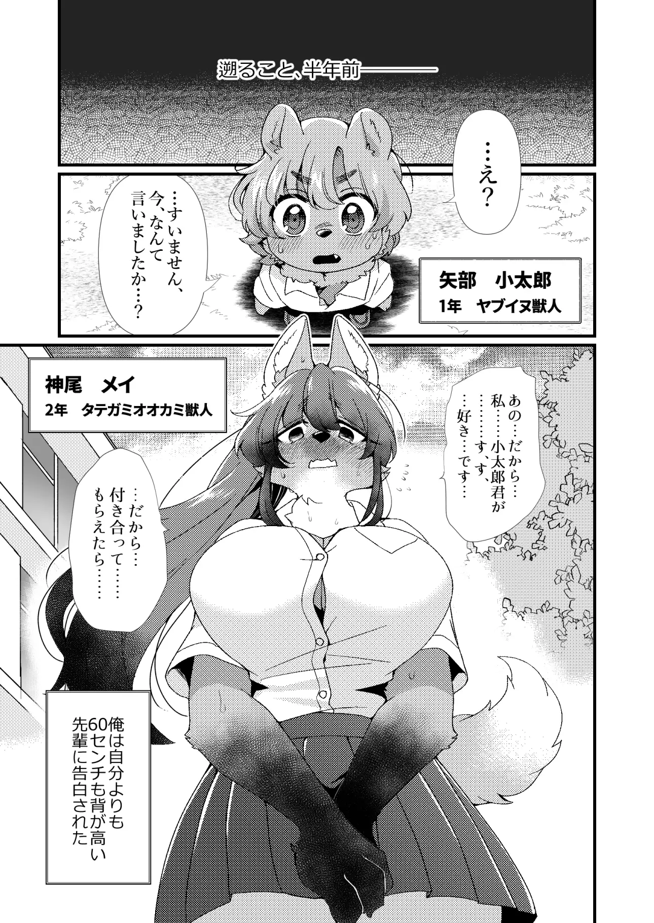 sub-image_1