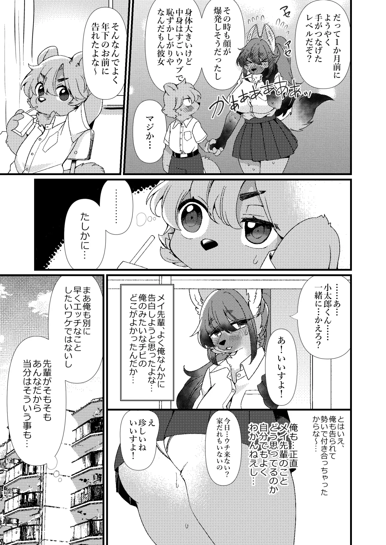 sub-image_3