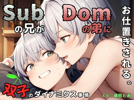 【Dom/Subユニバース】Subの兄がDomの弟にお仕置きされる。〜双子のダイナミクス事情〜