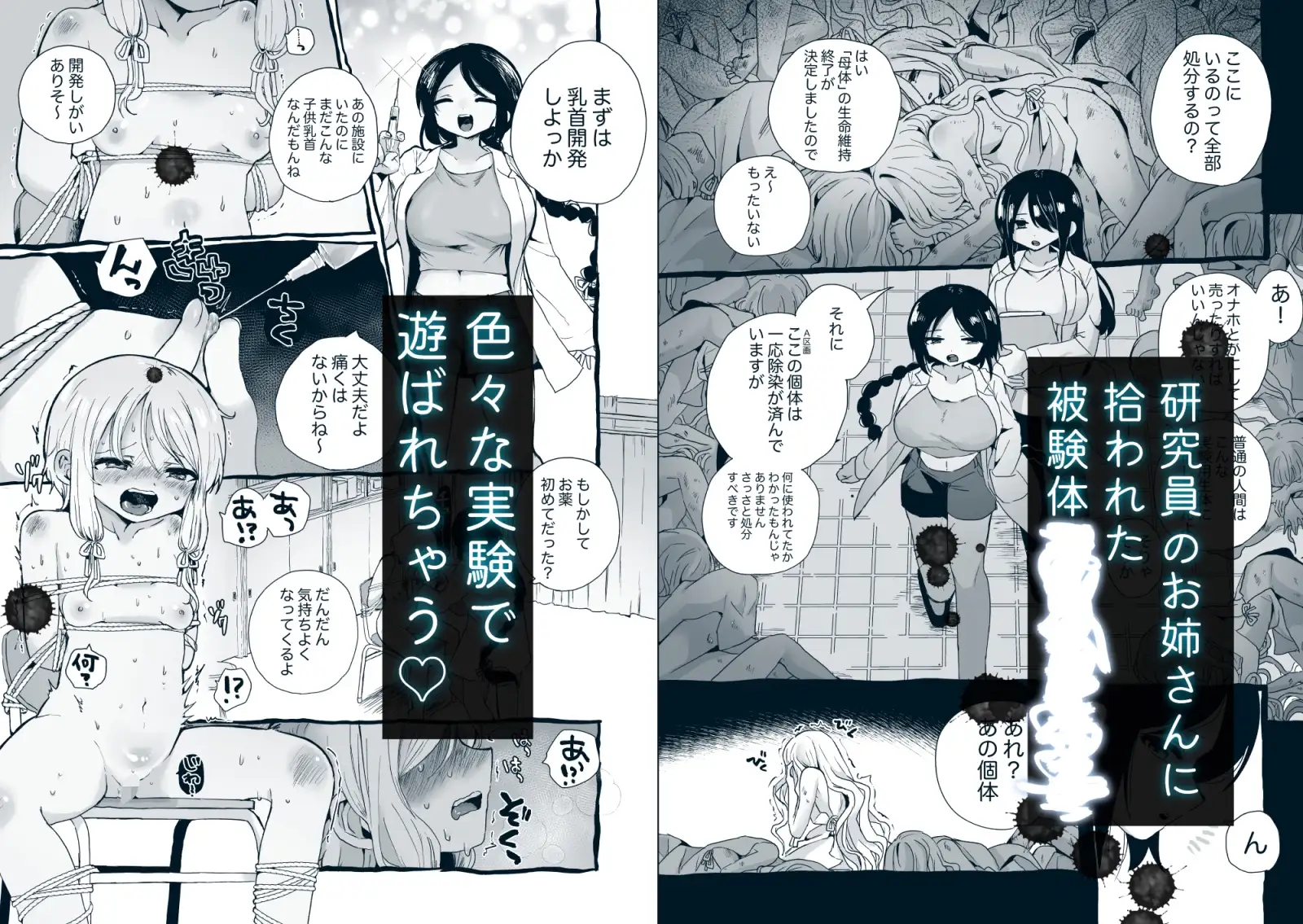 【简体中文版】实验体酱的实验报告