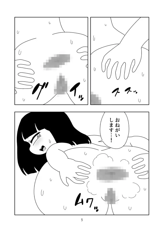 肉紙装丁本 かにみそ エロ漫画4
