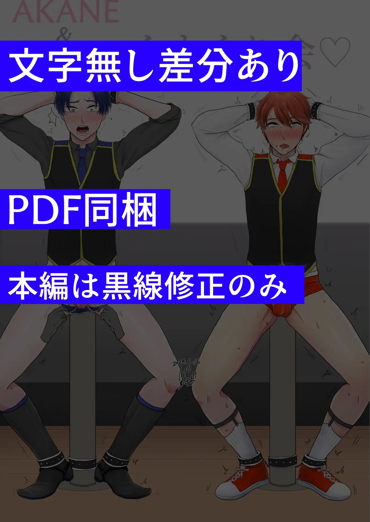 地下アイドル露出セット2 [野次馬セルディビジョン] | DLsite がるまに