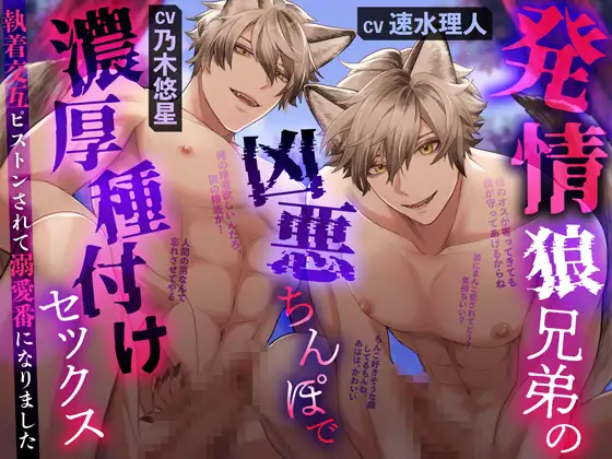 発情狼兄弟の凶悪ちんぽで濃厚種付けセックス~執着交互ピストンされて溺愛番になりました