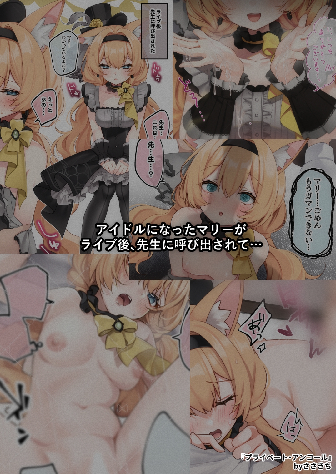 プライベート・アンコール 画像1