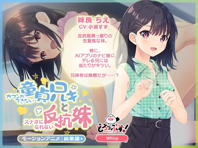 ガマンができない童貞アニキとスナオになれない反抗妹 モーションアニメ 総集編＋