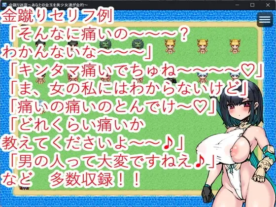 金蹴り迷宮～あなたの金玉を美少女達が金的～ image 5 