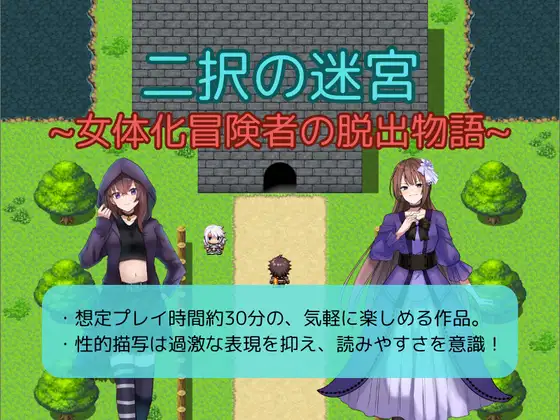 二択の迷宮～女体化冒険者の脱出物語～