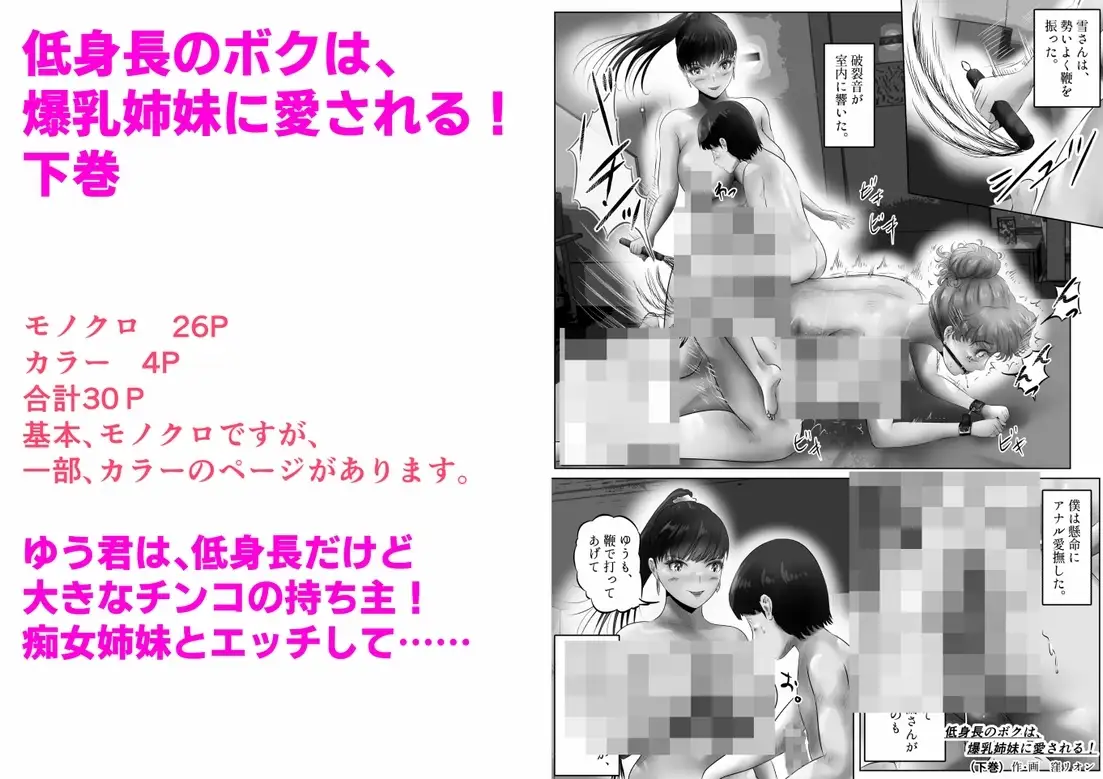sub-image_0