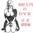 800万円のDVR:1淫虐調教編