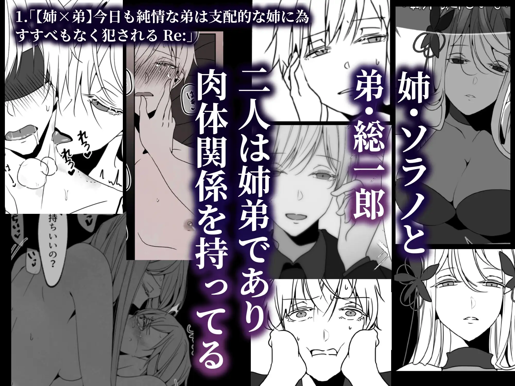 「今日も純情な弟は」シリーズ総集編 [一宙二星] | DLsite がるまに