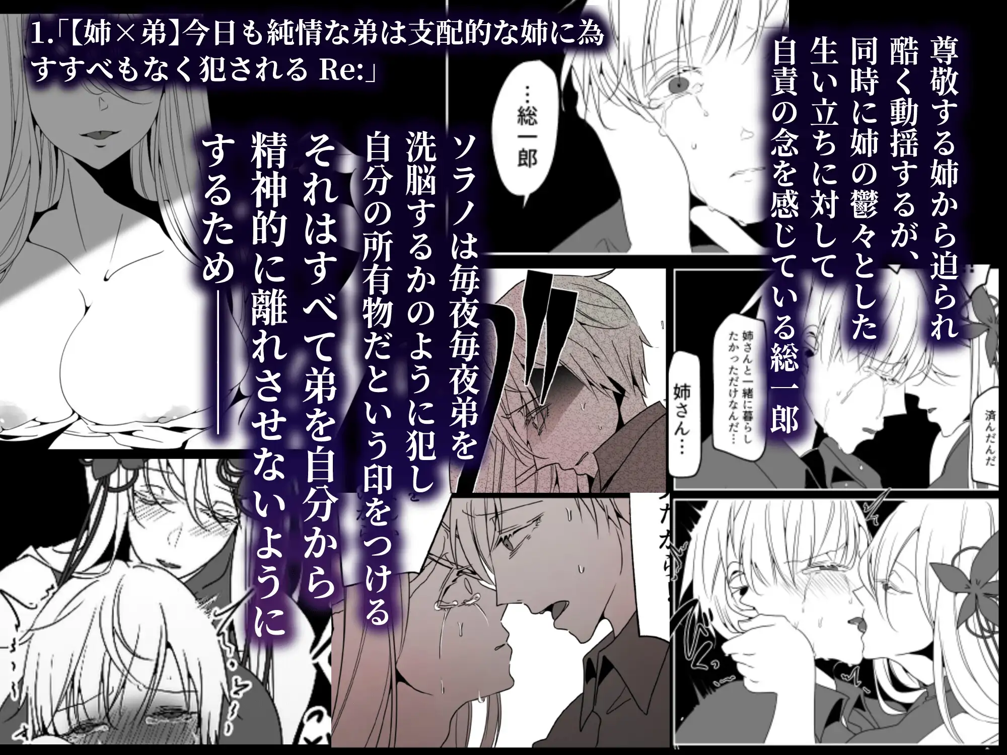 「今日も純情な弟は」シリーズ総集編 [一宙二星] | DLsite がるまに