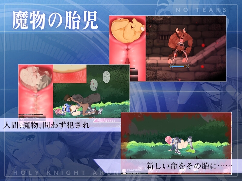 【スマホ版】聖騎士アルネと魔孕の呪印～Another No Tears～【DL Play Box版】 画像4