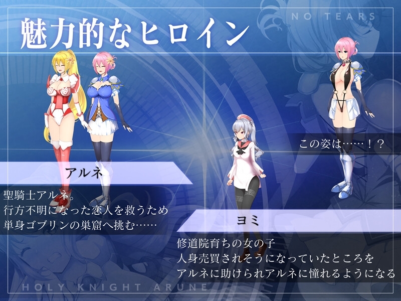 【スマホ版】聖騎士アルネと魔孕の呪印～Another No Tears～【DL Play Box版】 画像5