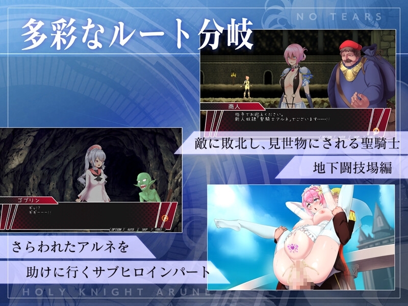 【スマホ版】聖騎士アルネと魔孕の呪印～Another No Tears～【DL Play Box版】 画像9