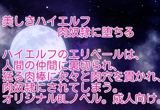 美しきハイエルフ肉奴○に堕ちる [saiai]