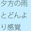 夕方の憂鬱な雨のせいなのか 楽しいのに何かを追いかけているような気分