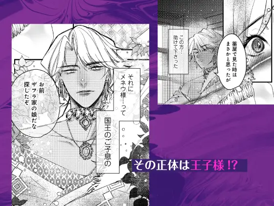生きるためには種付けセックスしかありません！-堕ちた令嬢と灼愛王子- 濃蜜ラブルージュCOMICS+ エロ漫画5