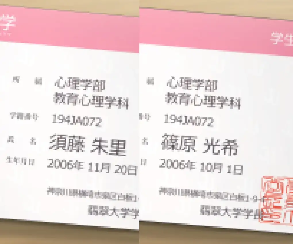 sub-image_1