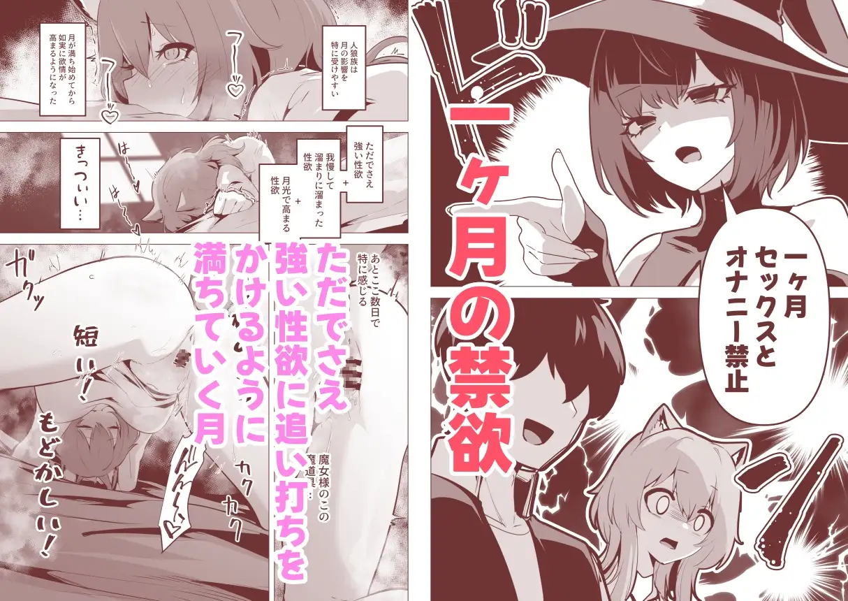 【繁体中文版】ホンネを聞かせて2