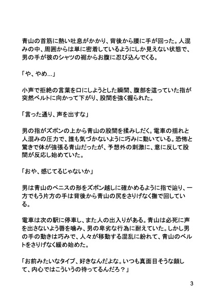 【禁断の車内調教】満員電車で教え込まれた秘密の快感