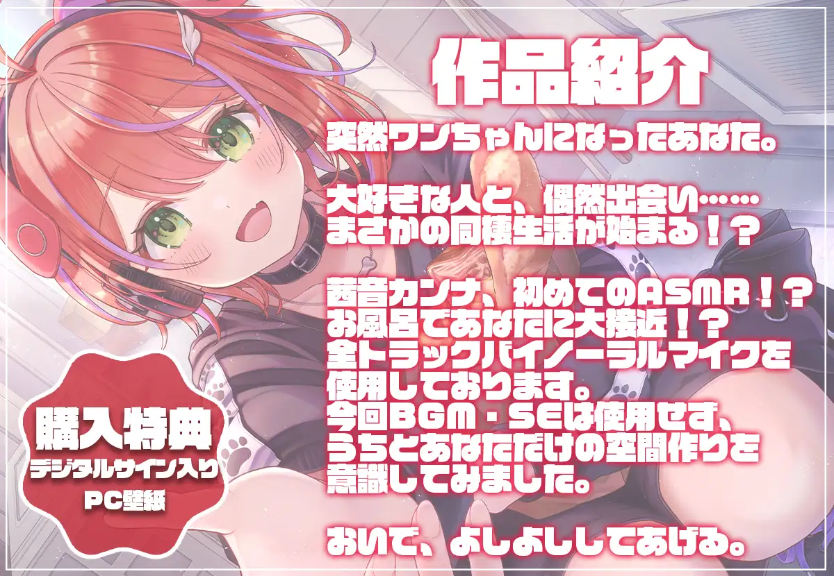 こんな「ワンっ生」も悪くない！? ななしいんく エロ画像2