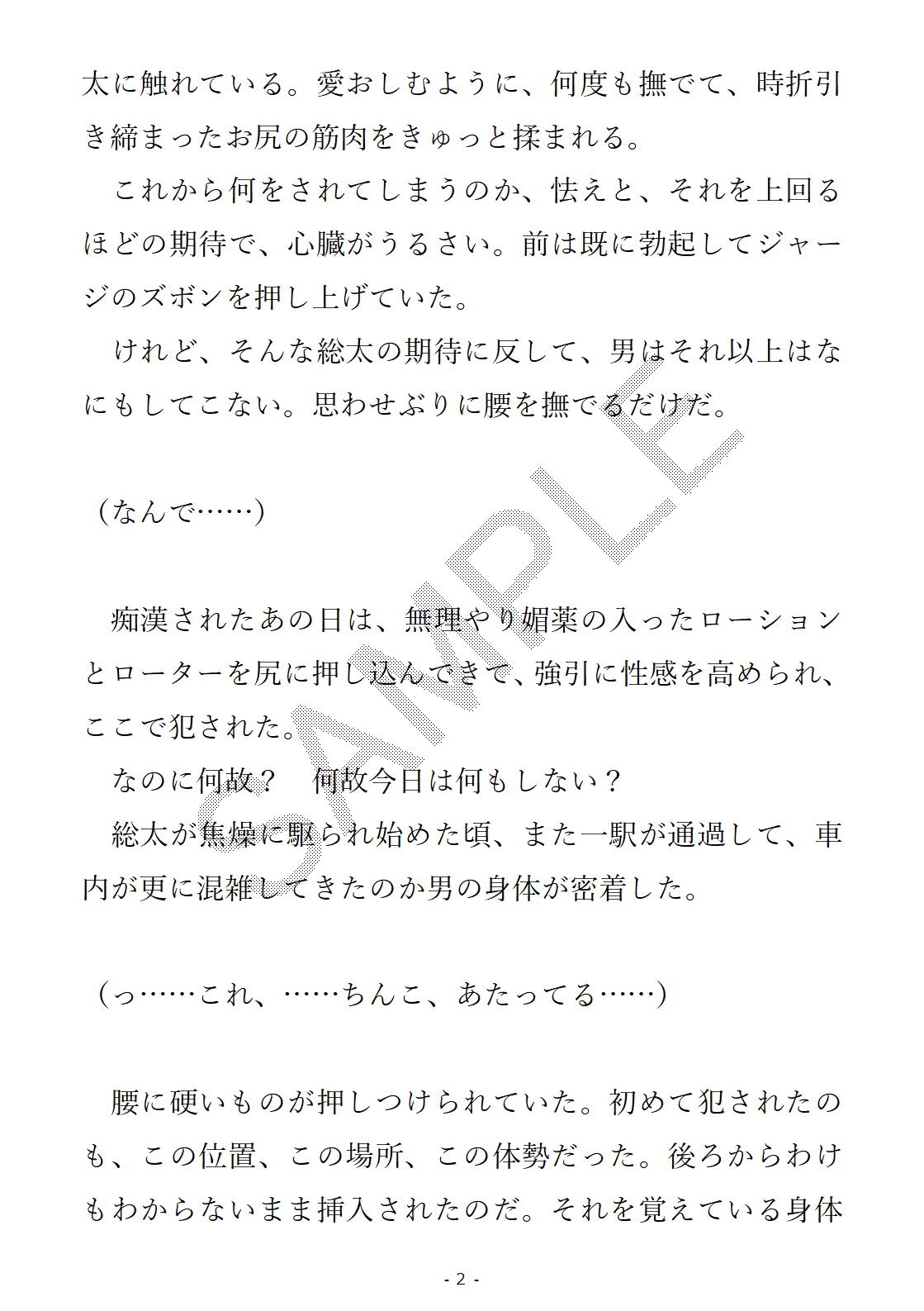 続・DK中出し電車痴○