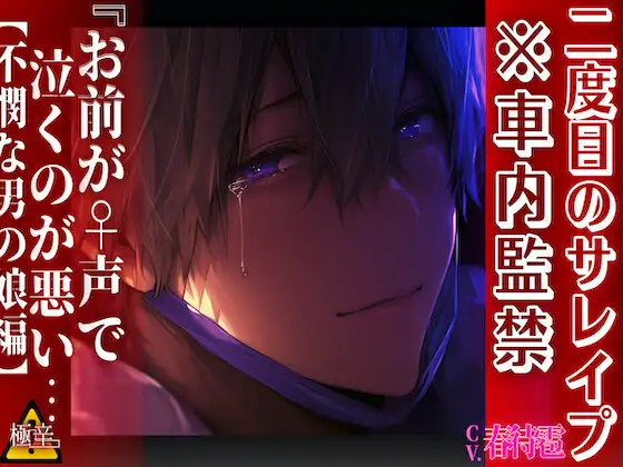 ※車内監禁【二度目のサレ○プ】 『お前が♀声で泣くのが悪い…』 男なのに無茶苦茶に犯されました 【不憫な男の娘編】【極辛】〜辛すぎて重過ぎる〜