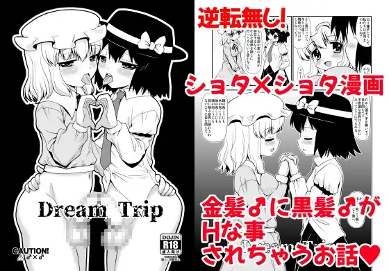 Dream Trip