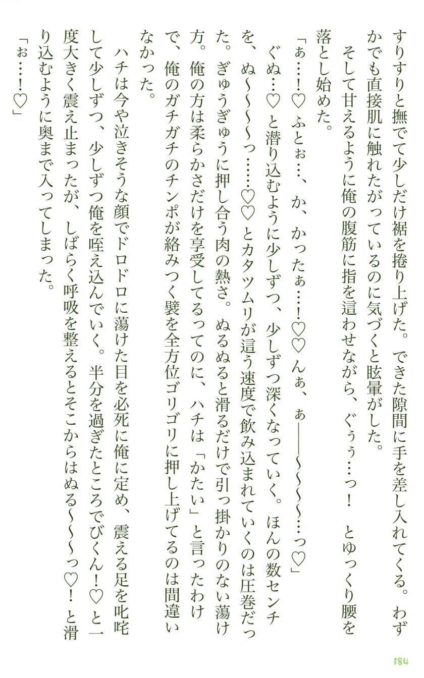 イチバチ！