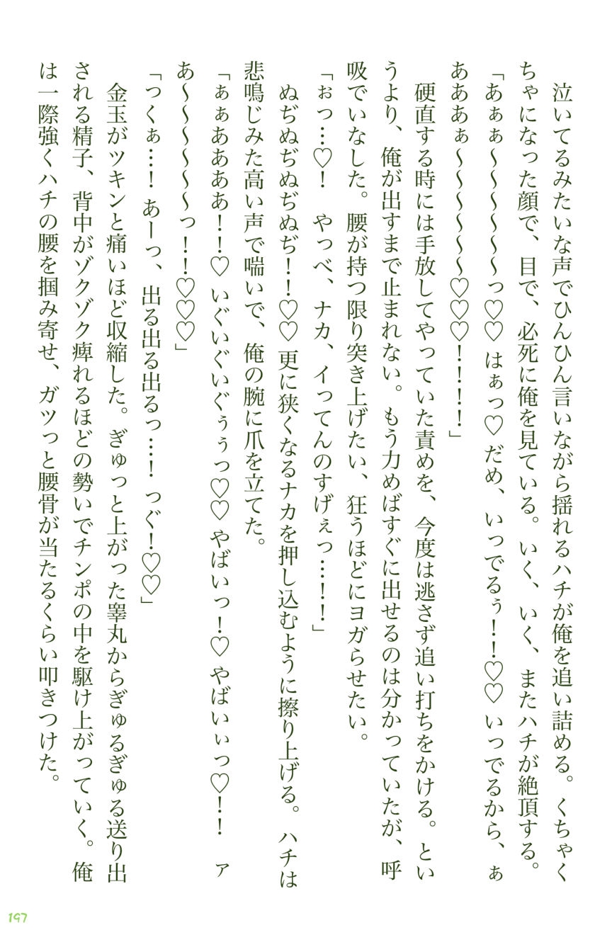 イチバチ！