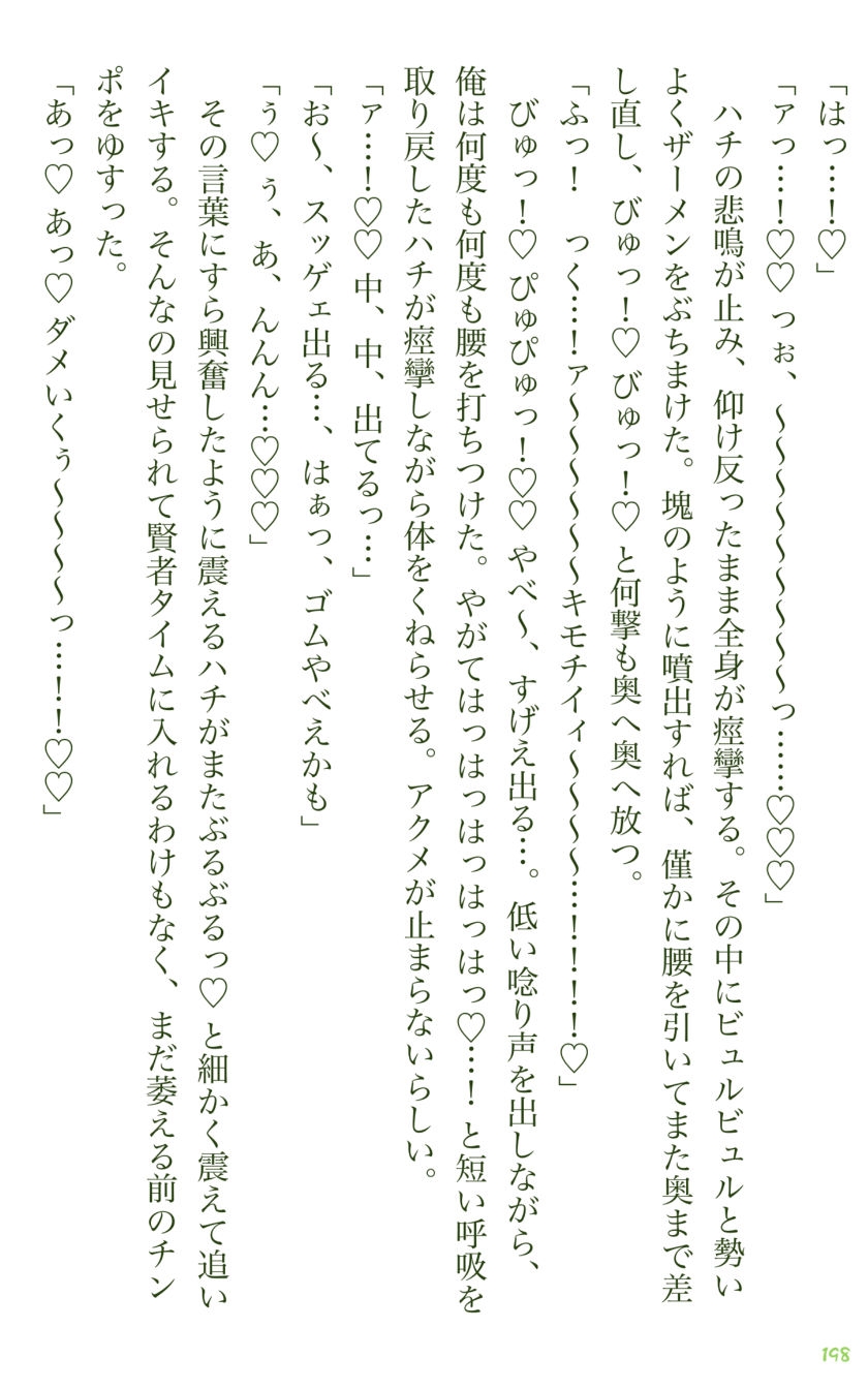 イチバチ！