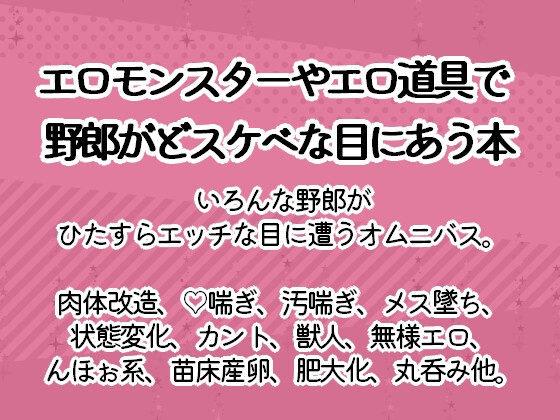 野郎がエロモンスターやエロアイテムでどスケベな目にあう本 [深海]