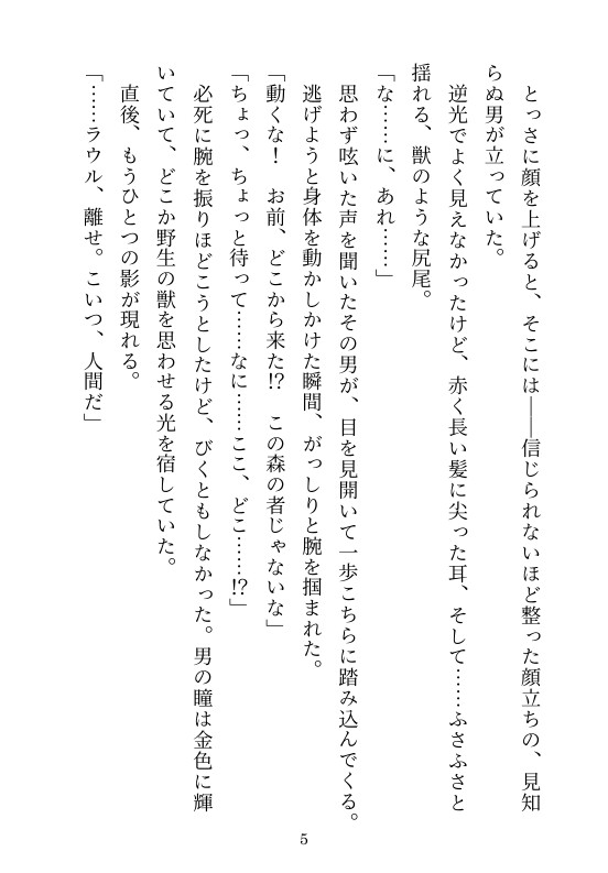 双子のケモノに溺れて～異世界で絶倫な獣人双子に囚われて3日3晩イかされ続けました～
