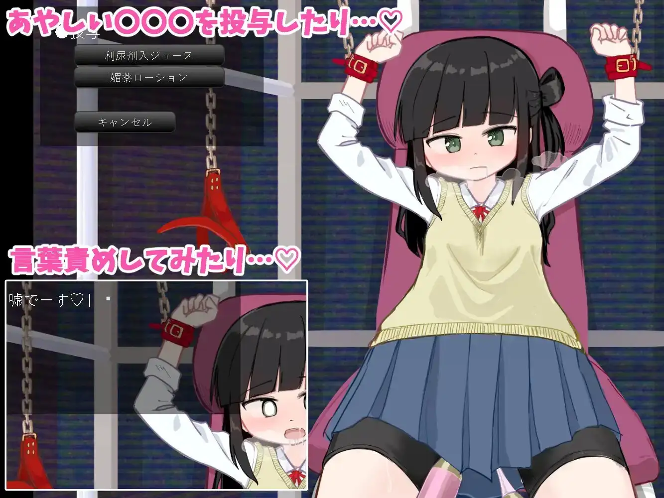 きゃぷてぃぶシミュレーター image 3 