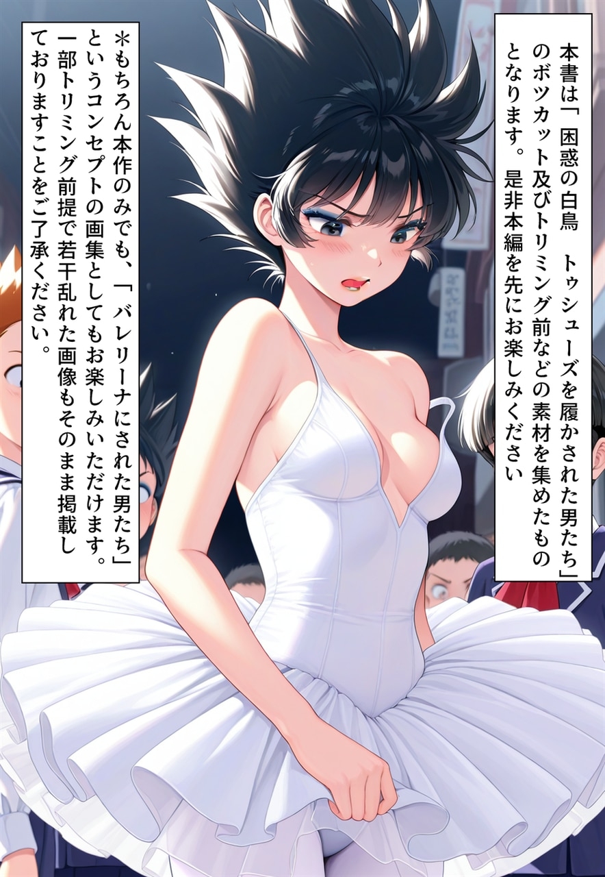 バレリーナにされた男たちの画集_1
