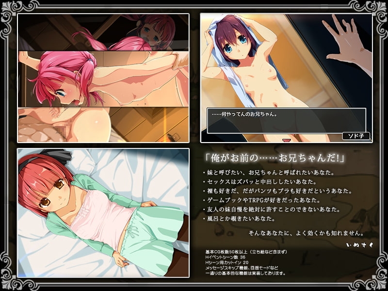 【スマホ版】限界!?お兄ちゃん シスタートラベル【DL Play Box版】 画像4