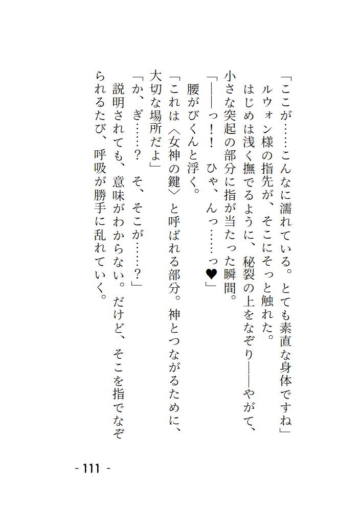 短編集 ~淫の国の姫・馬車の中で護衛の騎士様にイカされちゃう話・神官様、これは本当に儀式ですか?~