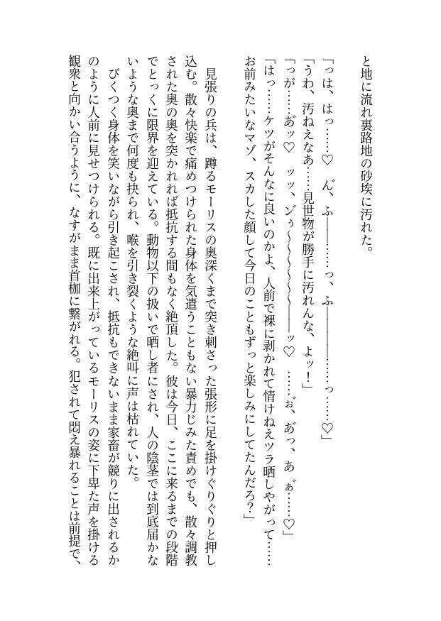 贄騎士モーリスの献身~騎士団長徹底凌〇~総集編(上)