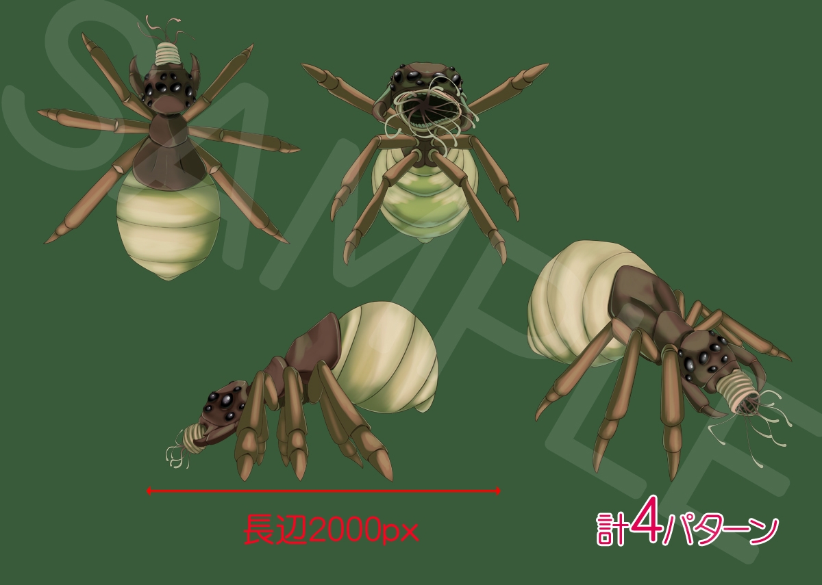 触手素材5_蜘蛛のような昆虫