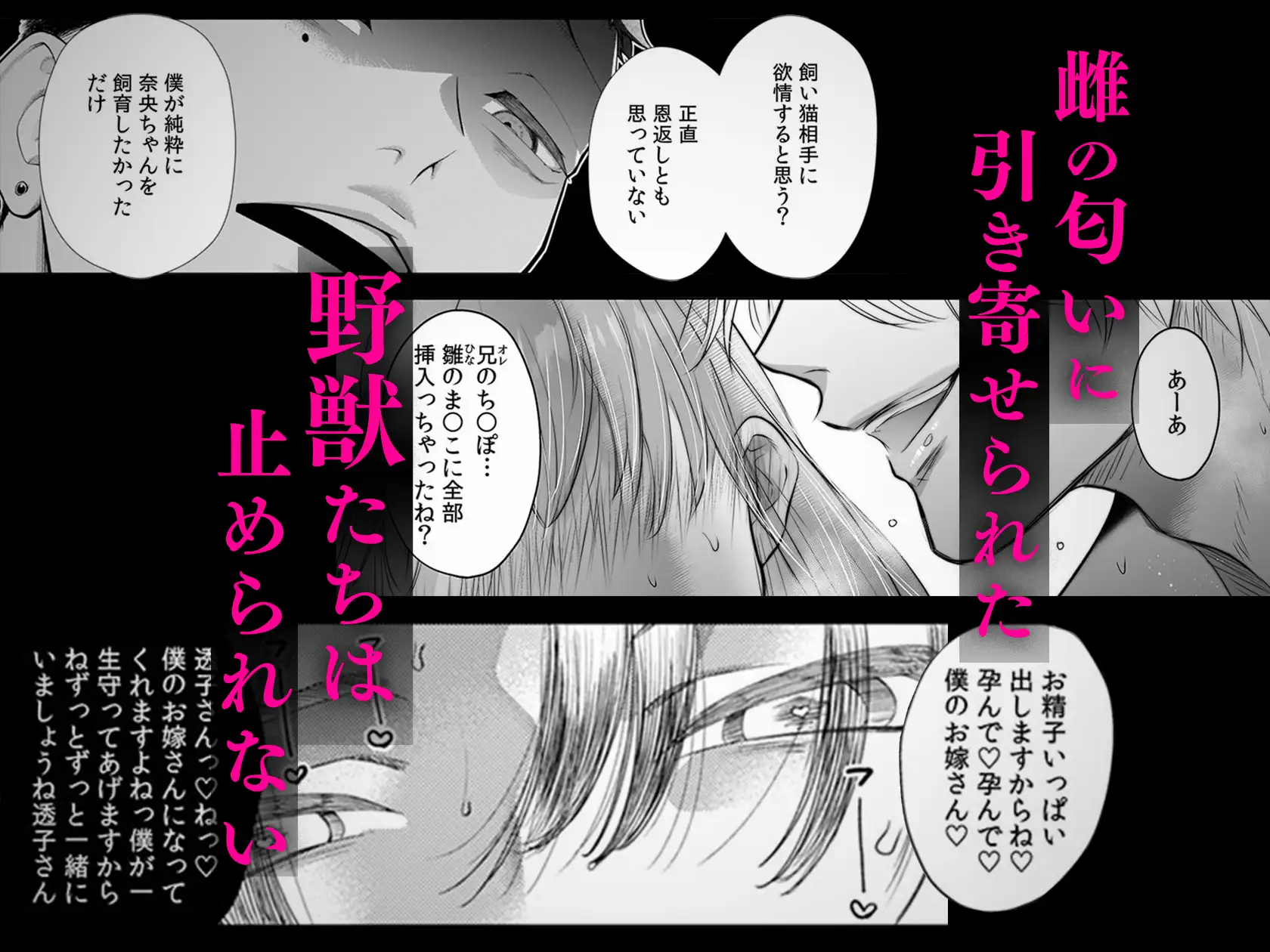 快楽堕ちコレクションBEAST～獣のようなセックスで堕ちるまで愛される～のサンプル画像1