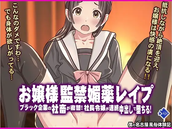 お嬢様監禁媚薬レ○プ-ブラック企業の社畜が復讐！社長令嬢が連続中出しで堕ちる！-