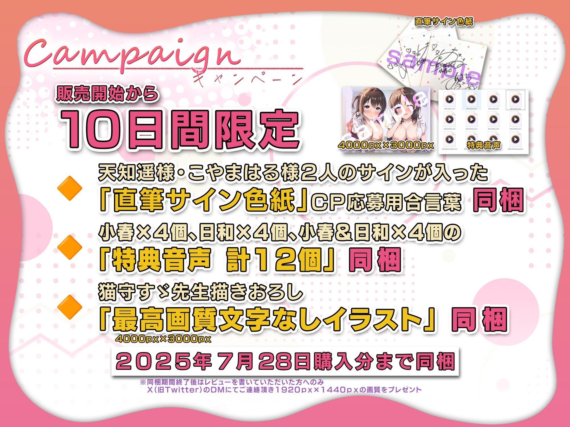 ✅10日間限定スペシャル特典同梱✅エッチな双子姉妹は義兄と仲良くなるためにセックスをしたがる【男性受け】 画像1