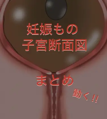 動く‼︎妊娠もの断面図もの まとめ