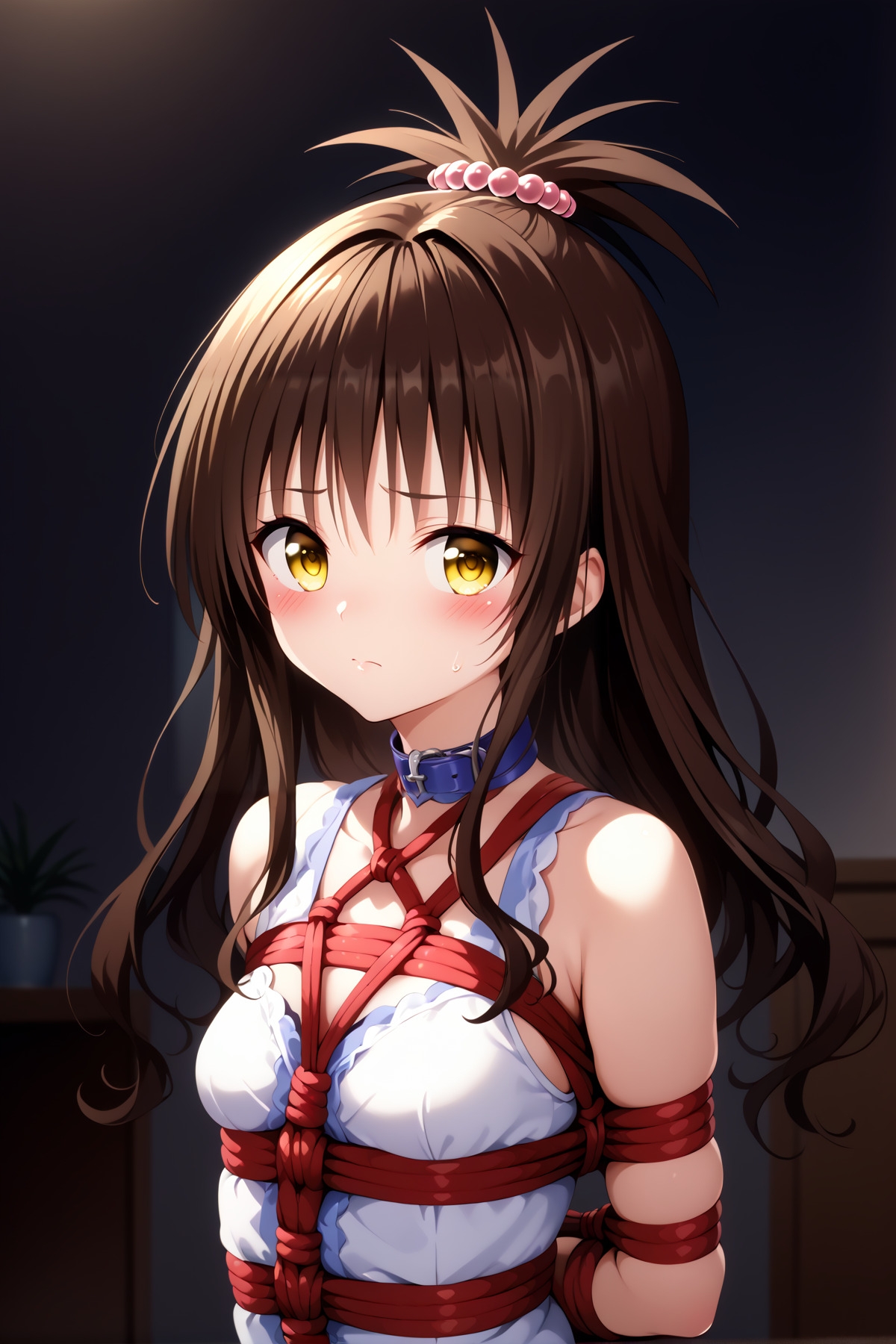結城〇柑詰め合わせ 画像7