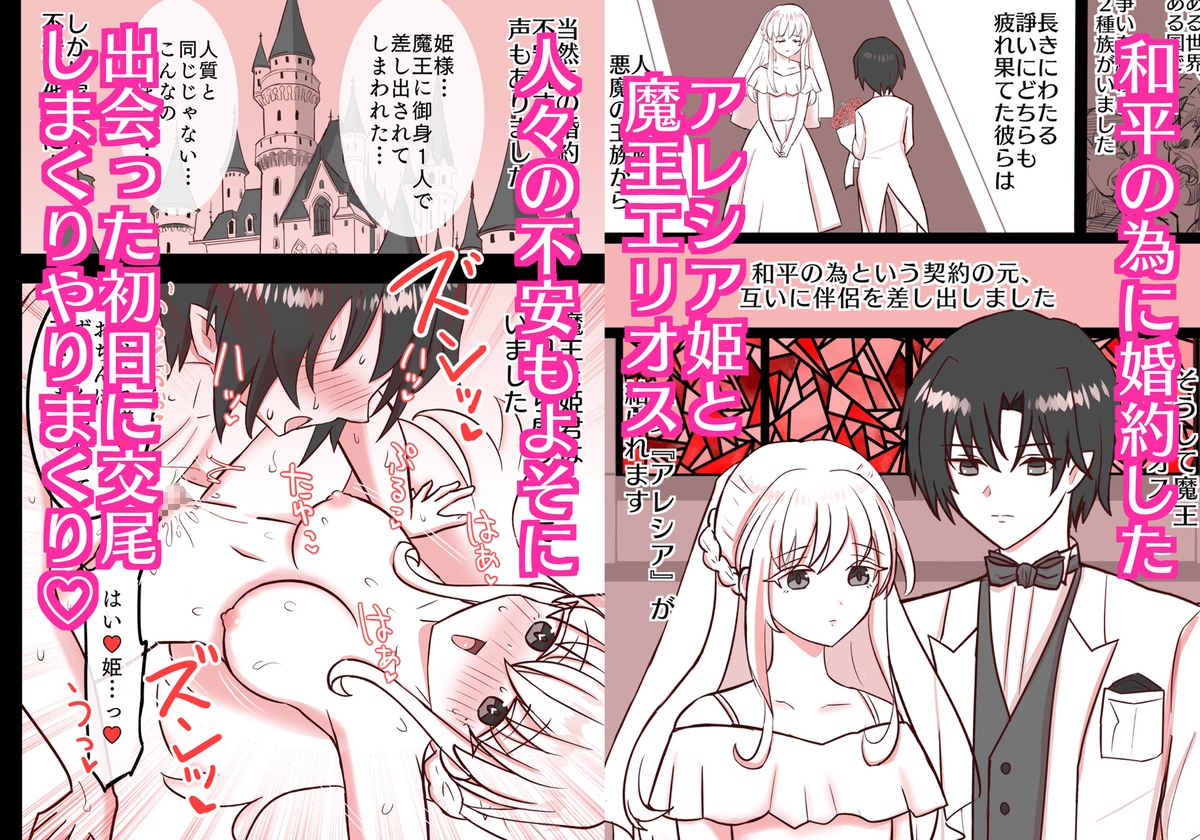 ドスケベ姫君と魔王陛下 画像1