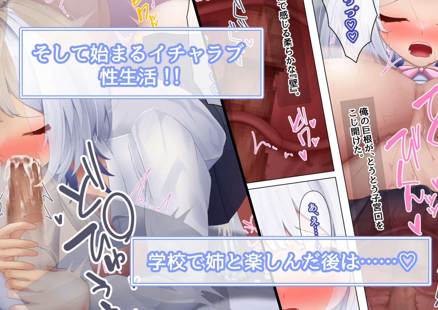 学園の巨乳姉妹をセックス三昧の果てに孕ませるまで～心の読める姉と性欲狂いの妹～ 画像2