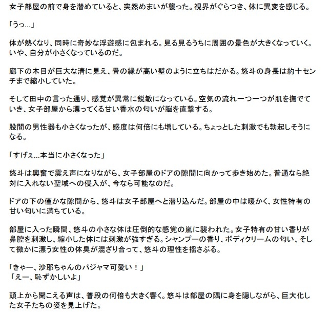 修学旅行の夜、禁断の小冒険 画像1