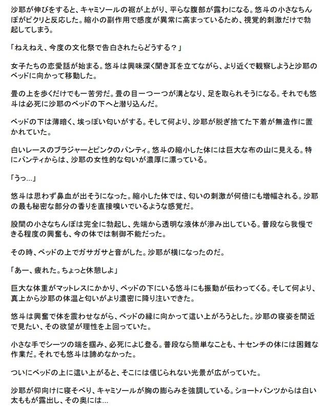 修学旅行の夜、禁断の小冒険 画像2