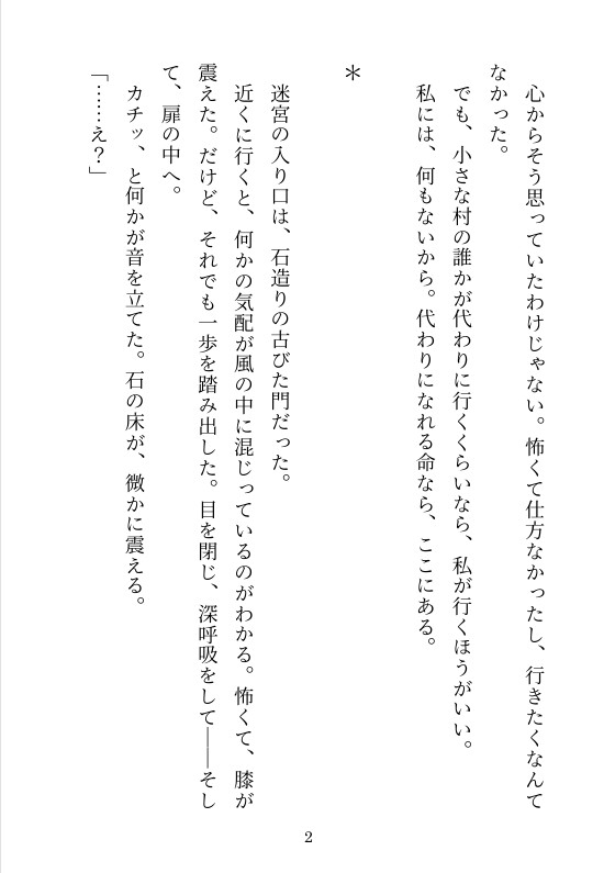 触手と美少年と快楽まみれの冒険記~この迷宮、刺激が強すぎますっ!~