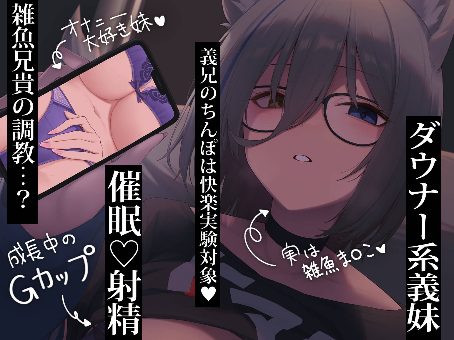 義妹の快楽洗脳譚~ろのみやひなぎくのばあい~ 画像1